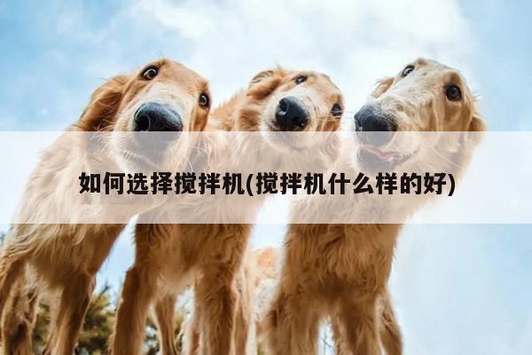 如何选择搅拌机(搅拌机什么样的好)【中国bbin宝盈集团有限公司】