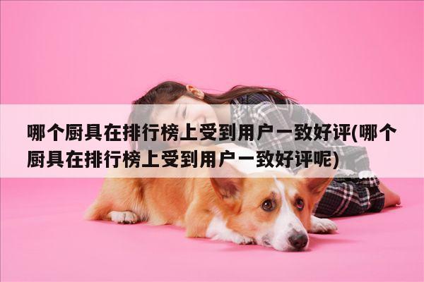 哪个厨具在排行榜上受到用户一致好评(哪个厨具在排行榜上受到用户一致好评呢)：BBIN宝盈